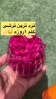 ترشی کلم یه روزه