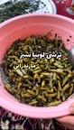 ترشی لوبیا سبز
