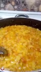 اش رشته
