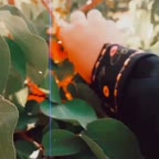 اسموتی زرد آلو (بخش اول)