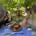 ویدیوی جوجه زعفرونی