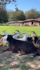 آشپزی روستایی