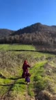 اسفناج پلو