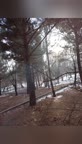 صبحانه در طبیعت