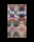 ترش تره
