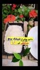 با شپشک خداحافظی کن