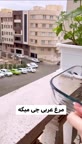 مرغ عربی