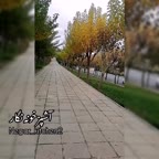 کاپ کیک نسکافه‌ای و شیرکاکائو خونگی