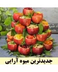 جدیدترین میوه آرایی یلدایی 