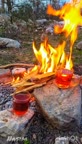آشپزی در طبیعت