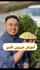 شیرینی قندی