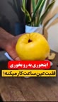 ترفند مفید و کاربردی