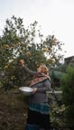 مربای پوست پرتقال