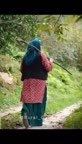 سیر قلیه