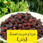 مربا تمشک