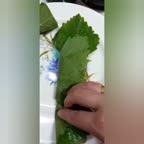 دلمه برگ مو متفاوت قسمت دوم