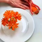 ایده سبزی ارایی