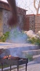 آشپزی در طبیعت