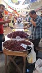 باقلا قاتوق