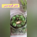 ترشی گوجه نارس