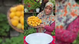 کمپوت زردآلو