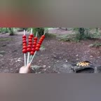 آشپزی در طبیعت