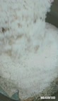 نذری اربعین