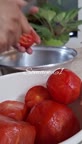پامادور قاتوق(گوجه خورشت)