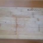 ایده تغذیه مدرسه 