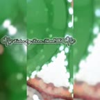 پنیر بُرُشته