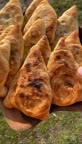بورگ ایشلمه برای قوت گرفتن عالیه