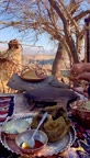 شله کینه 