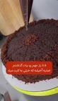 از خیسی این کیک لذت ببر 