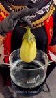 غذای خوشمزه لرستانی ??