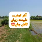 آش ترش
کپشن مهم