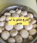 ترفند آشپزی 