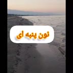 نون پنبه ای