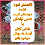 شامی ترش
شامی لواشکی