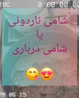 شامی درباری